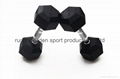 rubber coated  dumbbell 2