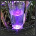 led drink water galss