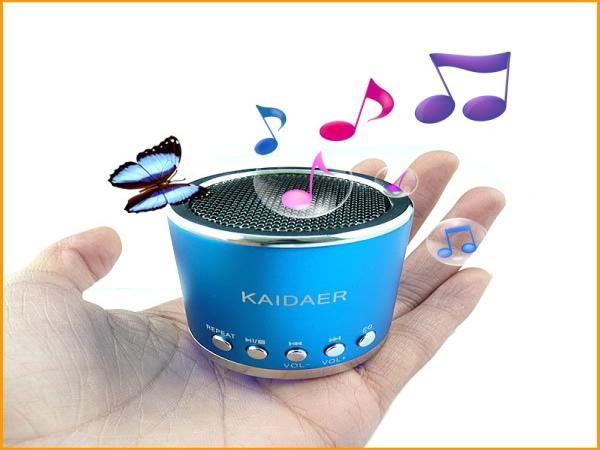 Mini speaker support FM radio Mirco sd card USB 