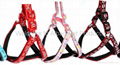 Pet Harness&Leash(Embroidery) 2