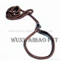 Nylon Rope Leash 1