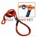 Nylon Rope Leash 3