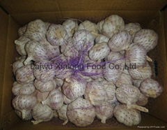 normal white garlic 10kg/carton 5.0cm 5.5cm 6.0cm 