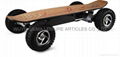 ELECTRIC SKATEBOARD