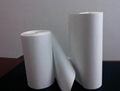 Nylon Membrane Filter 1