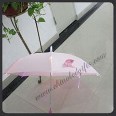 light up umbrella