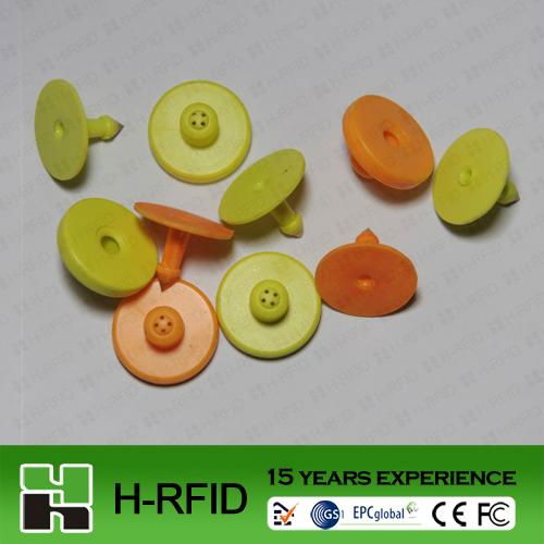 RFID animal glass tag with syringe  2