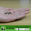 RFID animal glass tag with syringe  1