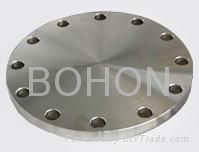 Blind flange