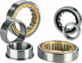 2012 High Performance Cylindrical Roller Bearing NU205E 1