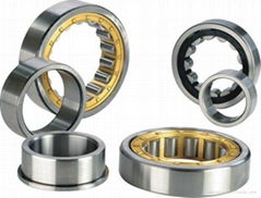 2012 High Performance Cylindrical Roller Bearing NU205E