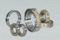 Cylindrical Roller Bearing NU2311E