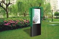 65 inch Outdoor LCD advertising display 