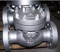 Swing check valve 1