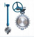 API butterfly valve 1