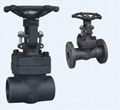 Forged gate valve 1