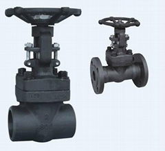 Forged gate valve