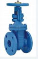 Cast iron gate valve