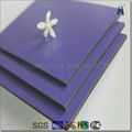 Aluminum Composite Panel