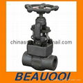 Forged Globe Valve Bolted Bonnet