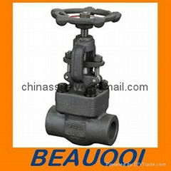 Forged Globe Valve Bolted Bonnet 150-1500LB