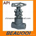 Forged Globe Valve Bolted Bonnet 1500-2500LB