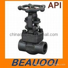 Forged Gate Valve Bolted Bonnet 150-1500LB