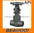 Forged Gate Valve Welded Bonnet