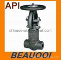 Forged Gate Valve Self Sealing Bonnet