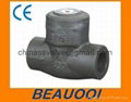 Forged Check Valve Welded Bonnet