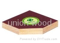 Most economical film faced plywood  2