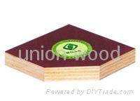 Most economical film faced plywood 