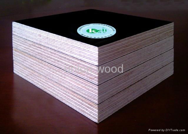 Most economical film faced plywood