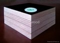 Most economical film faced plywood 