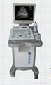 Full-Digital Trolly Ultrasonic Diagnostic Apparatus DW350 2