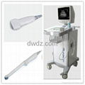 Full-Digital Trolly Ultrasonic Diagnostic Apparatus DW350 5