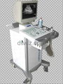 Full-Digital Trolly Ultrasonic Diagnostic Apparatus DW350 3