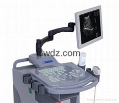 2012 Full-Digital Trolly Ultrasonic Diagnostic Apparatus DW370