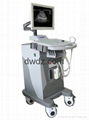 2012 Full-Digital Trolly Ultrasonic Diagnostic Apparatus DW370 4