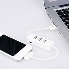 iPhone USB 2.0 Charge Hub