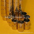 Cylinder Neodymium Magnets