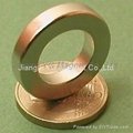 Ring Neodymium Magnet 2
