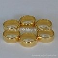 Ring Neodymium Magnet 5