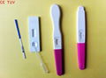 HCG Pregnancy Test 1