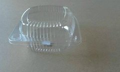 Plastic Food Box(OPS224 )