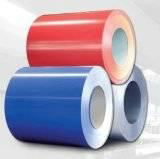 Coated Aluminum Coil for ACP