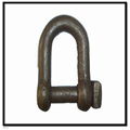 shackle 3