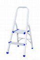 Household ladder