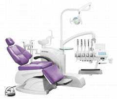 TS-TOP300 Folding Dental Chair