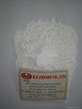 Viet Nam tapioca starch 1